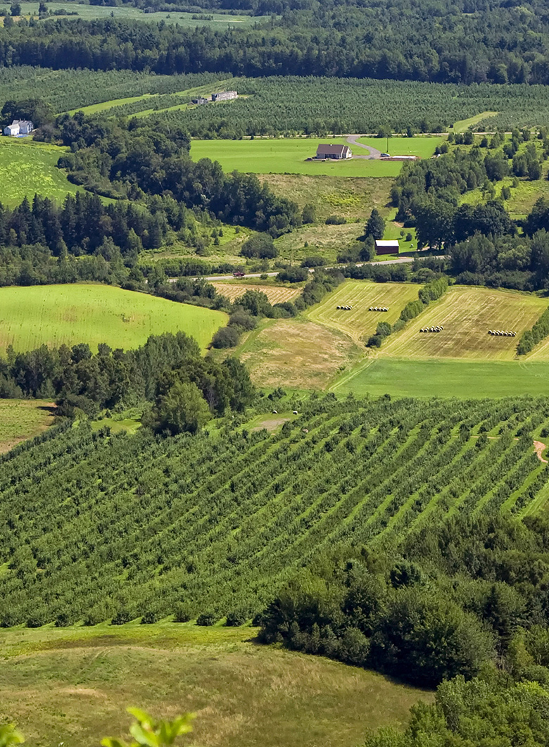 aerial view of farmland