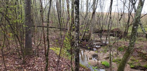 Eastern boundary looking South