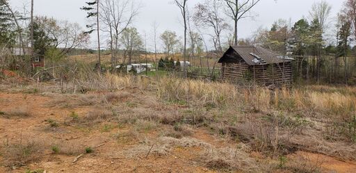 Eastern boundary looking Southwest