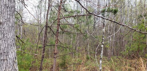 Low East boundary looking East