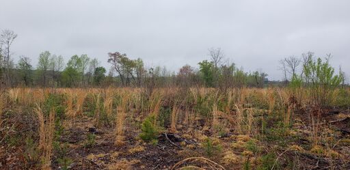 Lower Western boundary looking West