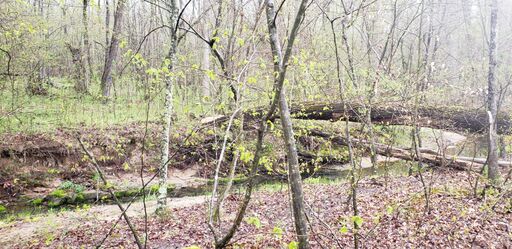 Mid East boundary looking East