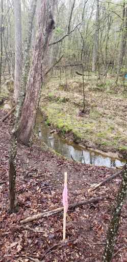 Mid East boundary looking North