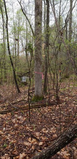 Northern boundary looking Northwest