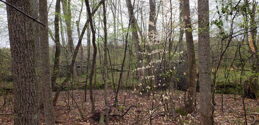 Northern boundary looking South