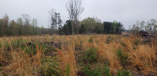 Southern boundary looking South