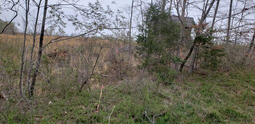Western boundary looking North